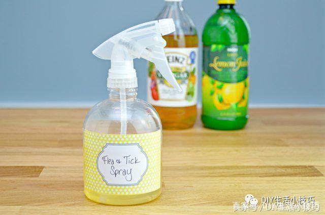 如何制作自制跳蚤蜱蟲驅(qū)蟲藥 生物質(zhì)驅(qū)蟲劑全指南